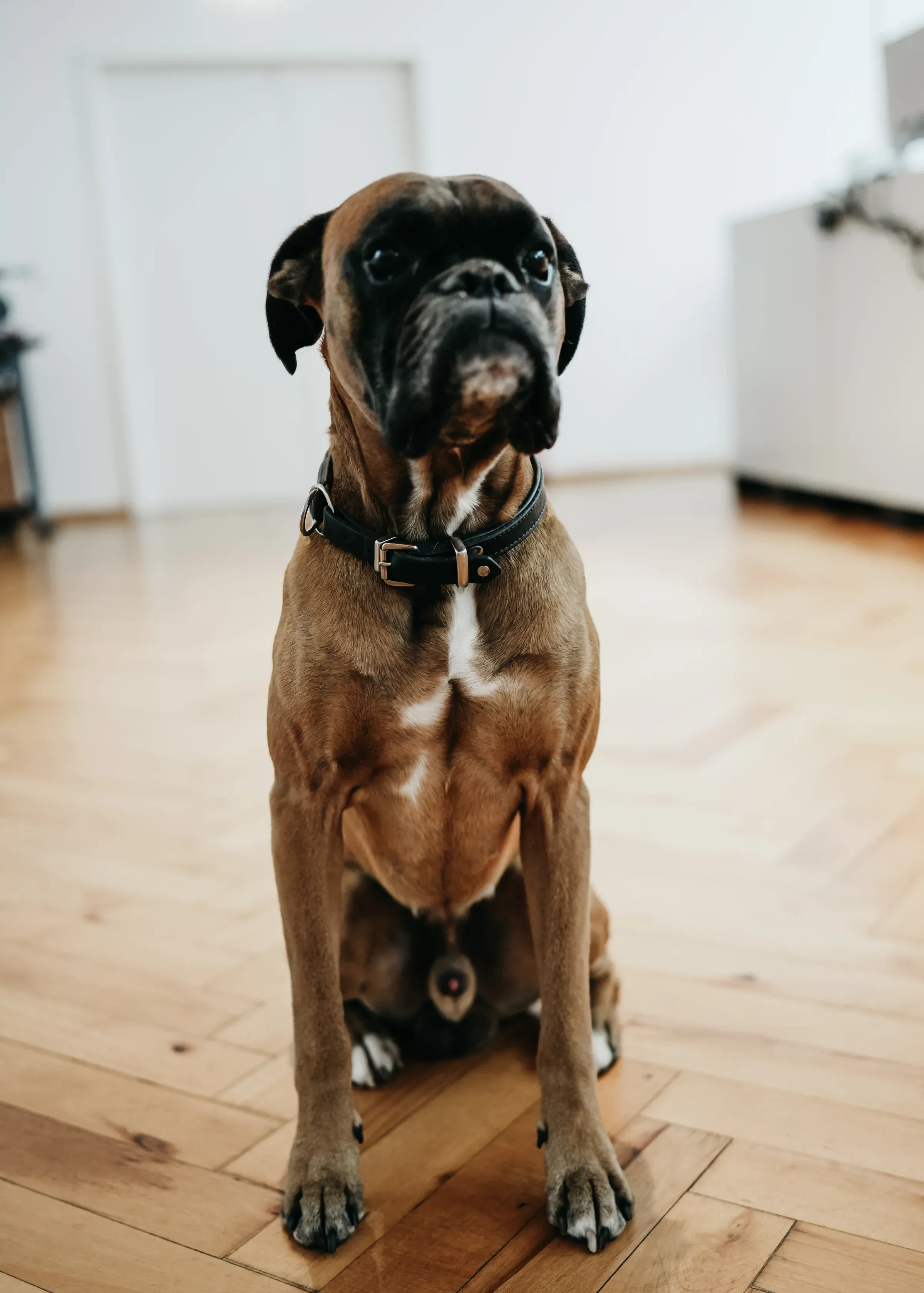 Henry — Sicherheitsbeauftragter